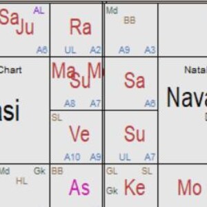 May include: A detailed astrological chart with the words "Rasi" and "Navamsa" prominently displayed. The chart is divided into multiple sections, each containing astrological symbols and numbers, with text in red and purple.