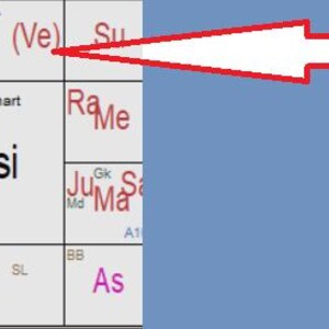 May include: A natal chart diagram with the word "Rasi" in a central box. Other boxes contain astrological symbols and abbreviations. The word "(Ve)" is visible in the upper left corner. A blue background is on the right.