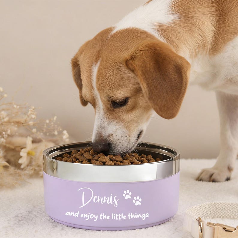 Puede incluir: Un cuenco para perros de color lila claro con borde plateado, lleno de comida para perros. El cuenco tiene el nombre "Dennis" y la frase "and enjoy the little things", adem&aacute;s de huellas de patas. Un perro est&aacute; comiendo del cuenco.