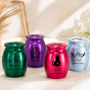 Personalized Stainless Steel Mini Urn, Custom Engraved Memorial Pet Urn for Dog and Cat Ashes, Pet Loss Remembrance Gift