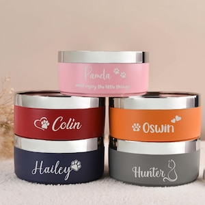Puede incluir: Un conjunto de cuencos personalizados para mascotas en rosa, rojo, naranja, azul marino y gris con bordes plateados. Cada cuenco est&aacute; grabado con el nombre de una mascota y un dise&ntilde;o de huella de pata o coraz&oacute;n. El cuenco rosa dice "Pamela".