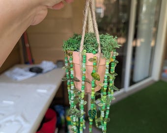 Forever beaded plant.