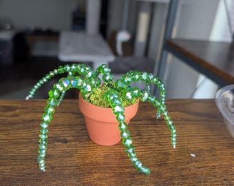Forever Baby Suculant Beaded Plant