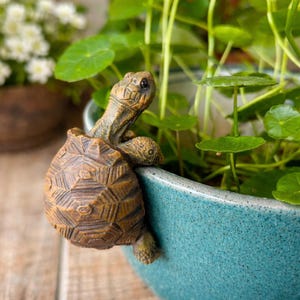 Puede incluir: Una detallada figura de tortuga de resina marrón agarrada al borde de una maceta de cerámica turquesa. La tortuga tiene un caparazón texturizado y detalles precisos. Plantas verdes con hojas redondas son visibles en el fondo, creando una escena decorativa natural.