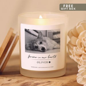 May include: A frosted glass candle with a lit wick and a bamboo lid. The label features a black and white photograph of a dog, the text "forever in our hearts", the name "OLIVER" with a paw print icon, and "GILDED GLOW | 8OZ NATURAL SOY WAX CANDLE".