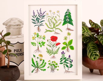 Impresión botánica, arte de pared floral, ilustración de hierbas.