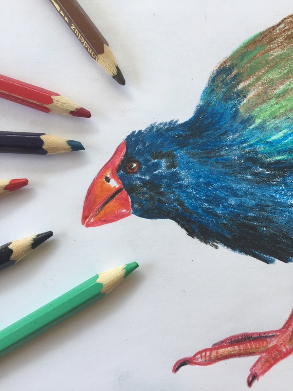 Robe Oiseau Kiwi Fait à La Main Robe De Loiseau Robe Oiseau De Nouvelle Zélande
