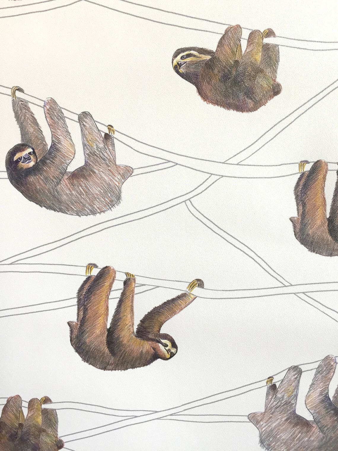 Sloth Wallpaper Illustrated Wallpaper Sloth Wall Decor | Etsy