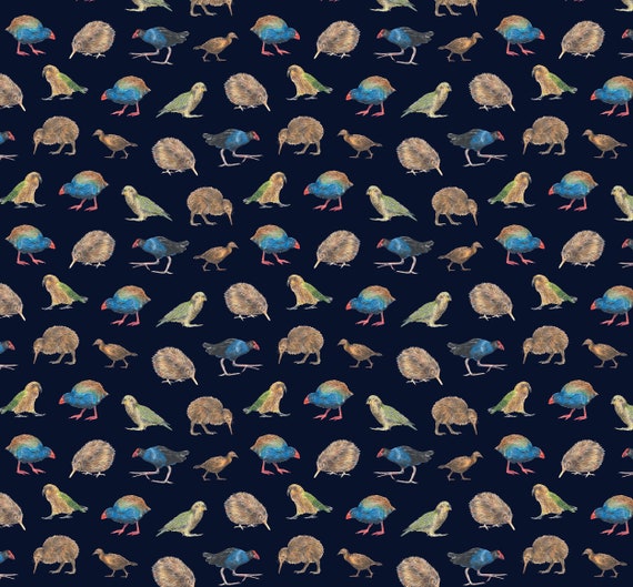 Robe Oiseau Kiwi Fait à La Main Robe De Loiseau Robe Oiseau De Nouvelle Zélande