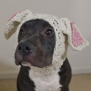 Crochet Dog Snood Beige Rabbit MADE TO ORDER