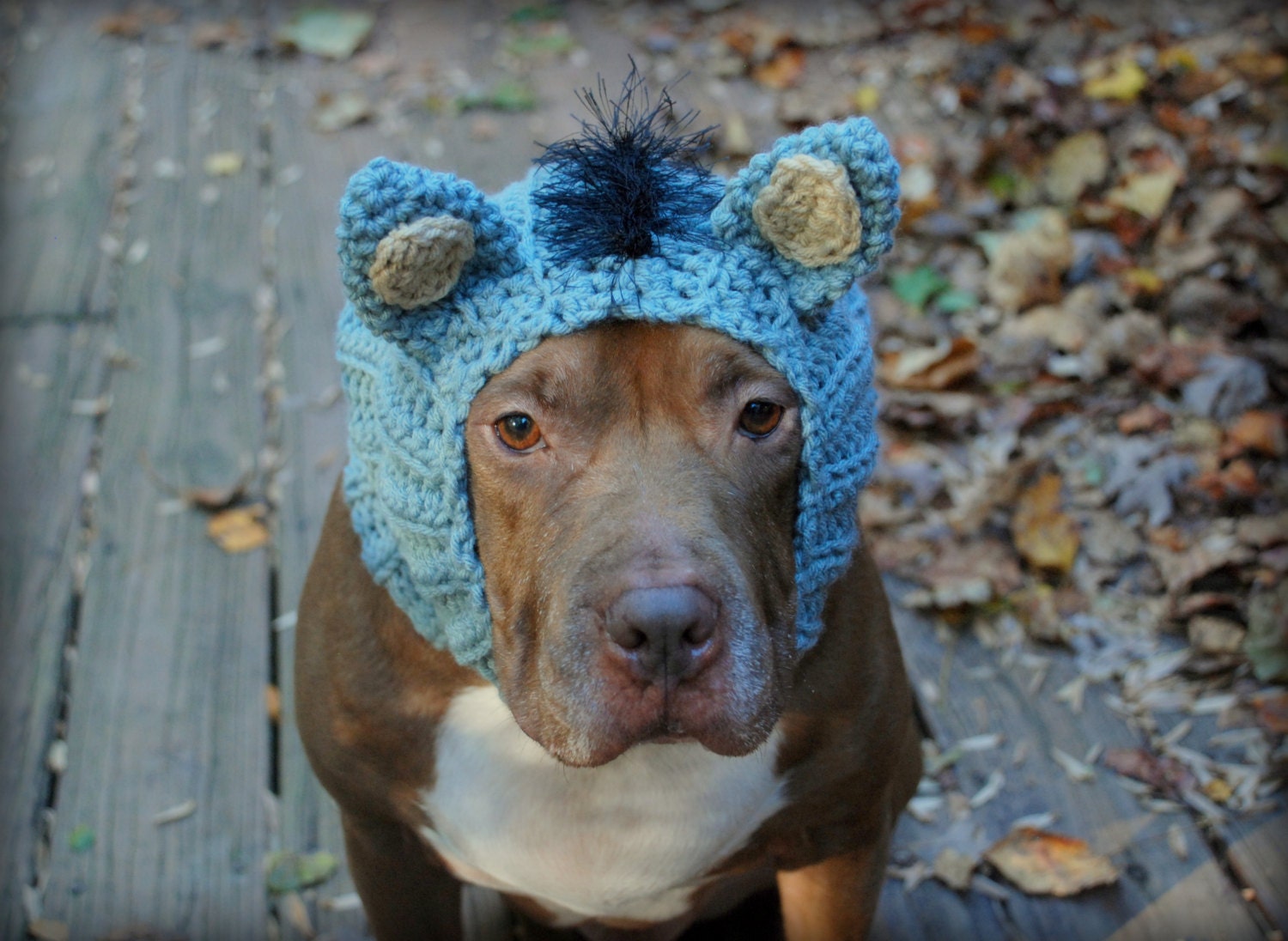 Donkey Dog Costume ubicaciondepersonas.cdmx.gob.mx