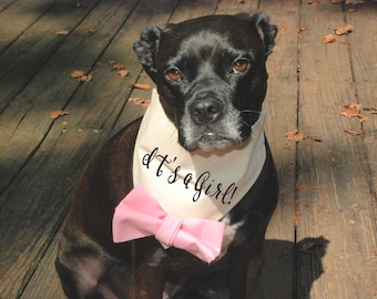 It's a Girl Dog Bandana Beige with Pale Pink Bow Tie Dog Baby Announcement Dog Photo Prop