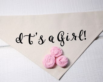 It's a Girl Dog Bandana Beige with Pink Flowers Dog Baby Announcement Dog Photo Prop