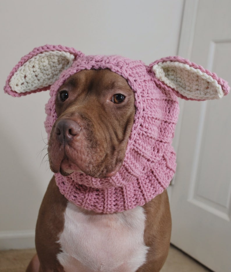 Dog Snood Crochet Pink Rabbit MADE TO ORDER image 5