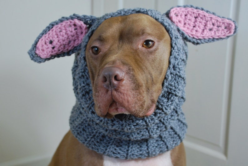 Crochet Dog Snood Grey Rabbit MADE TO ORDER image 1