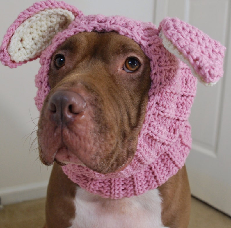 Dog Snood Crochet Pink Rabbit MADE TO ORDER image 2