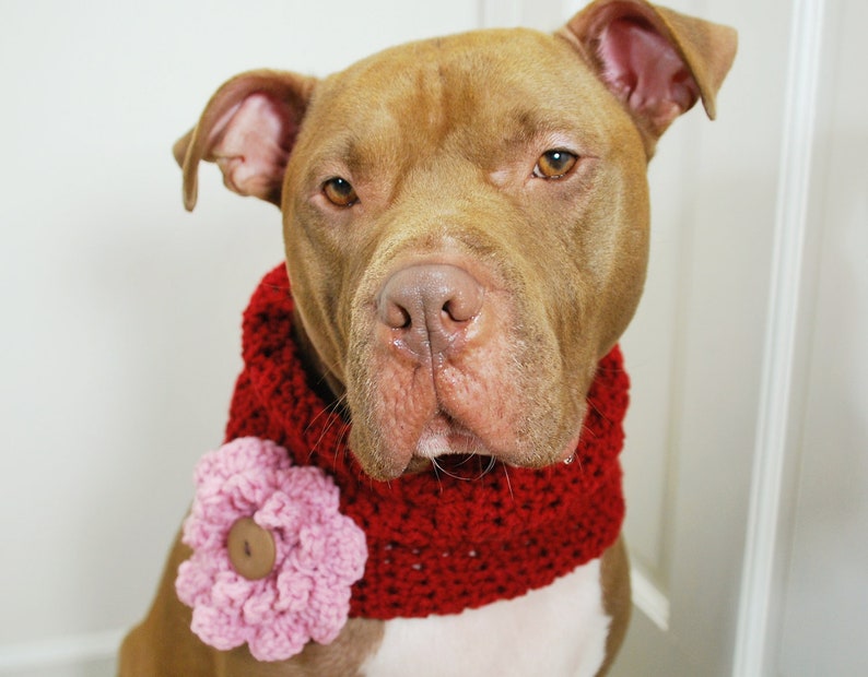 Crochet Dog Cowl Cranberry Red with Pink Flower Made to Order image 5