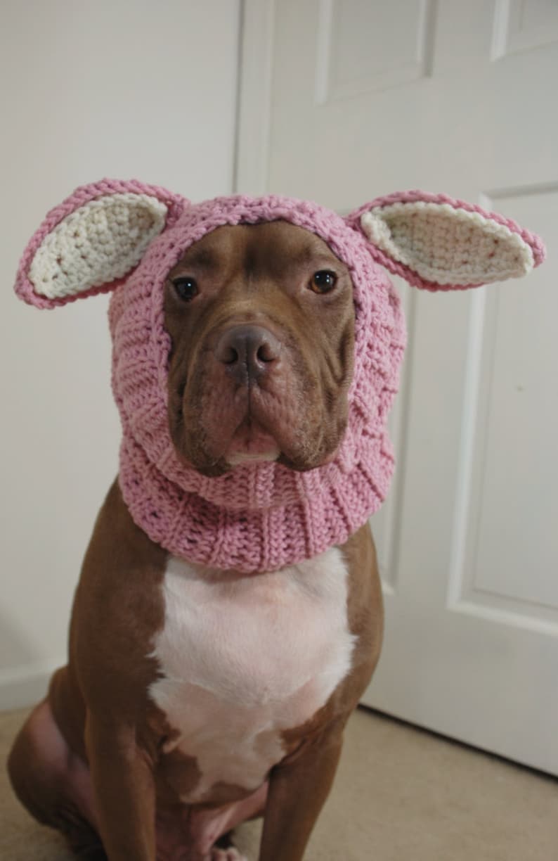 Dog Snood Crochet Pink Rabbit MADE TO ORDER image 3