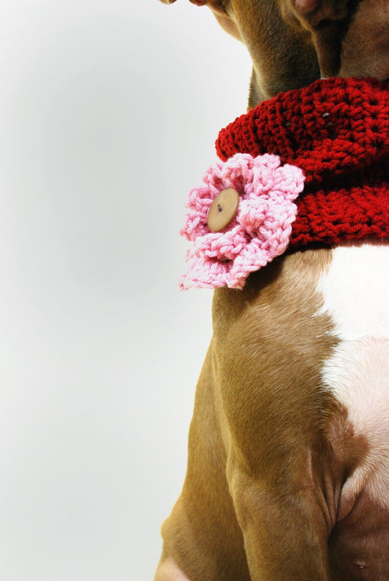 Crochet Dog Cowl Cranberry Red with Pink Flower Made to Order image 3