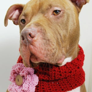 Crochet Dog Cowl Cranberry Red with Pink Flower Made to Order image 2