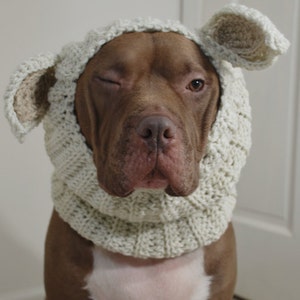 Dog Snood Lamb Crochet Made to Order