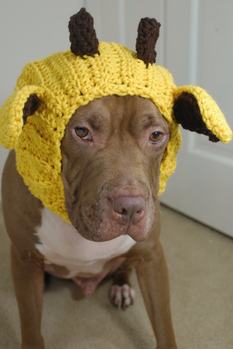 Dog snood ear protector vseramilliondollar