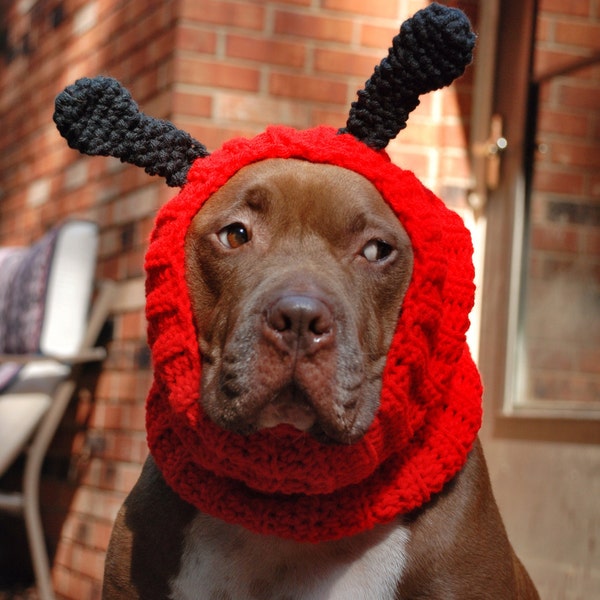 Ladybug Dog Snood Crochet MADE TO ORDER