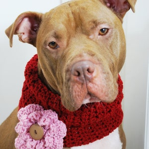 Crochet Dog Cowl Cranberry Red with Pink Flower Made to Order image 4