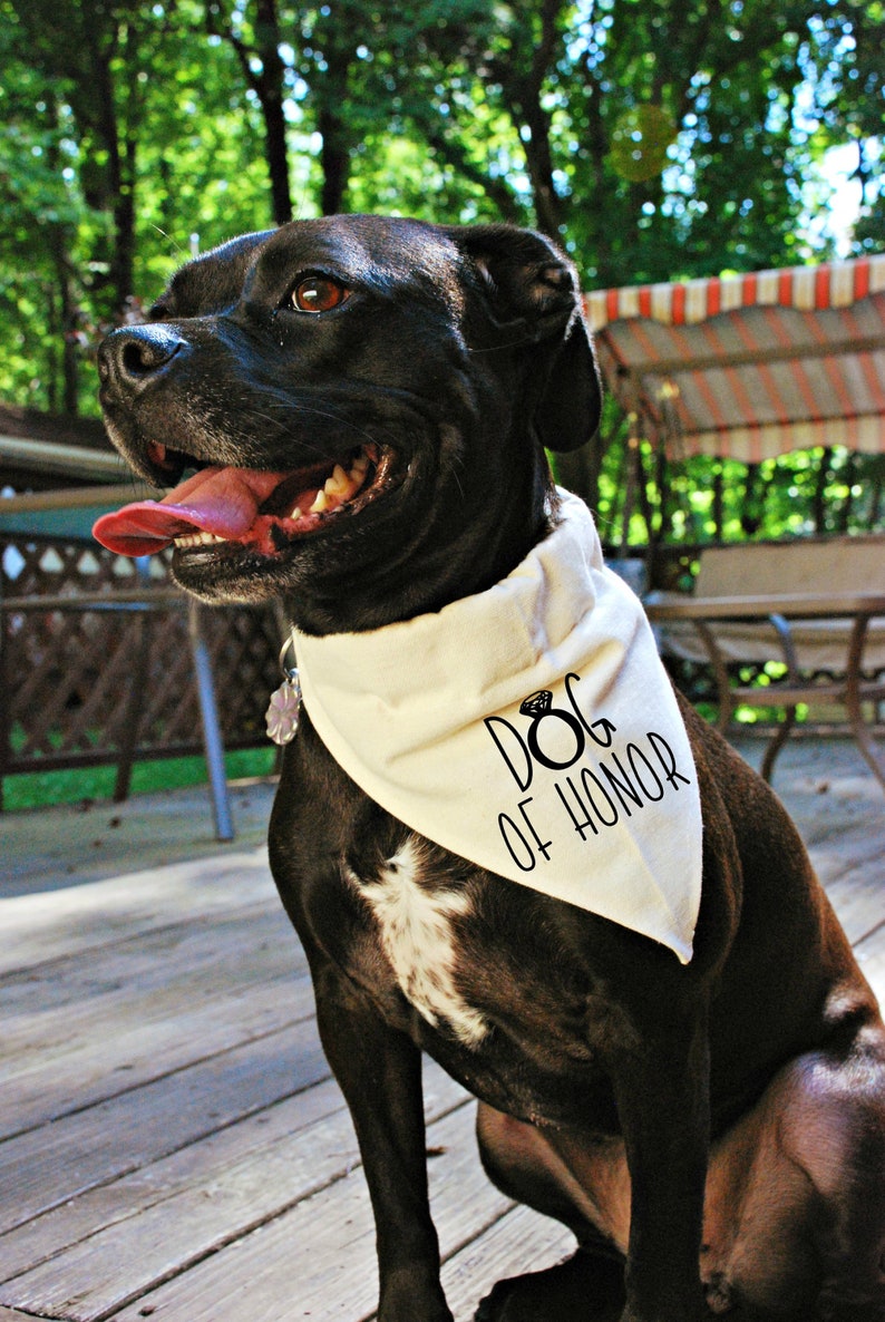 Dog Of Honor with Ring Bandana/Over the Collar Bandana/Dog Etsy
