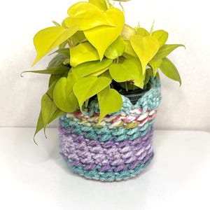 Può includere: Una vivace pianta di filodendro a foglie di cuore giallo neon è inserita in un coprivaso lavorato a mano all'uncinetto. Il coprivaso presenta un bordo superiore smerlato e strisce orizzontali di filato variegato nei toni del lilla chiaro, verde acqua e bianco.