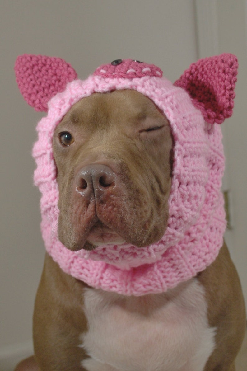 Dog Snood Pink Pig Made to Order image 1