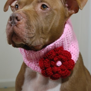 Dog Cowl Pale Pink with Cranberry Flower