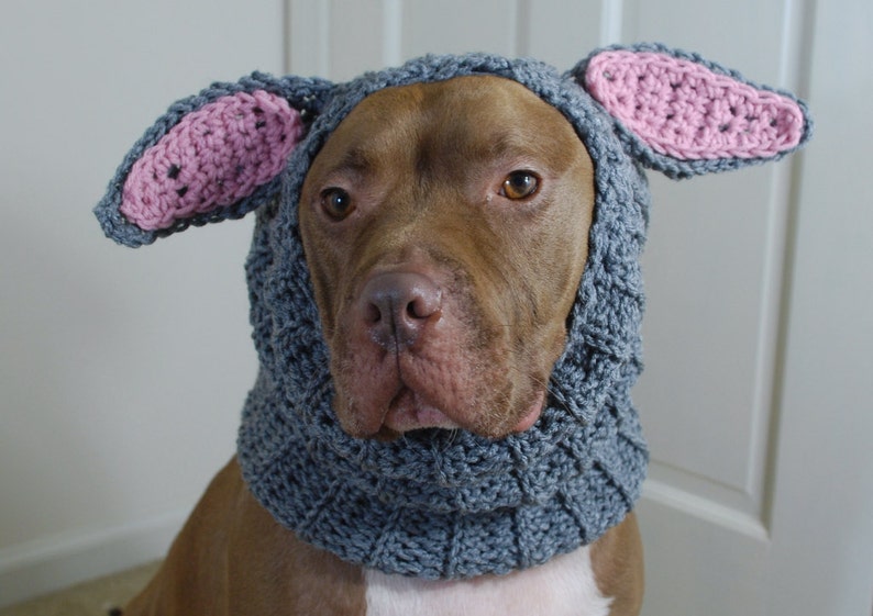 Crochet Dog Snood Grey Rabbit MADE TO ORDER image 4