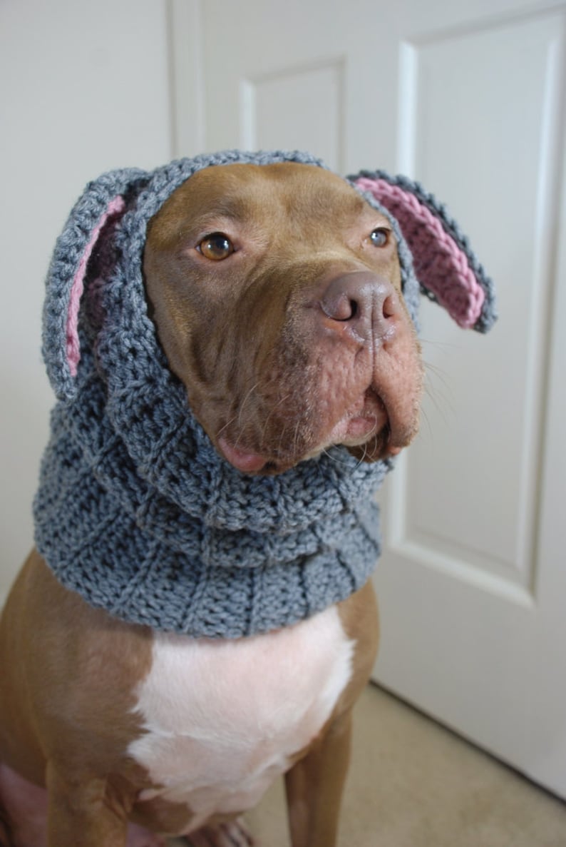 Crochet Dog Snood Grey Rabbit MADE TO ORDER image 2