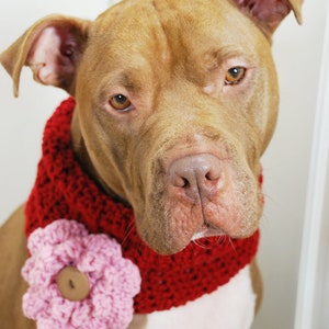 Crochet Dog Cowl Cranberry Red with Pink Flower Made to Order image 1