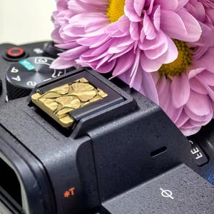 May include: Close-up of a black camera with a gold-colored hot shoe cover featuring a leaf design. A large pink flower with a yellow center rests on top of the camera, adding a pop of color to the scene.