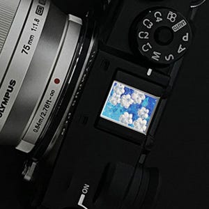 May include: Close-up of a black Olympus camera with a silver lens. The camera's LCD screen displays a floral design with white flowers on a blue background. The lens is marked 75 mm 1:1.8.