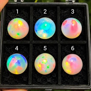 May include: Six round, polished opals arranged in a black display box with individual compartments. Each stone displays a unique play of color, including flashes of neon green, bright pink, electric blue, and yellow against a milky white base.