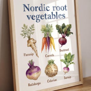 May include: A framed print featuring watercolor illustrations of Nordic root vegetables. The print includes parsnip, carrots, beetroot, rutabaga, celeriac, and turnip, with their names labeled below. The title "Nordic root vegetables" is at the top in blue.
