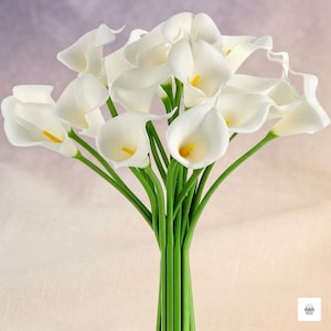 Puede incluir: Un ramo de calas artificiales con pétalos blancos lisos en forma de trompeta y espádices de color amarillo brillante. Las flores están sostenidas por tallos largos, delgados y de un verde vibrante, agrupados en la base de forma uniforme.