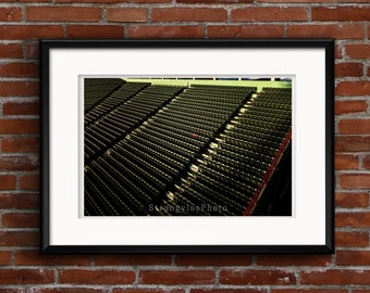 The Red Seat, Ted Williams famous 502' homerun, fine art photo by StrongylosPhoto