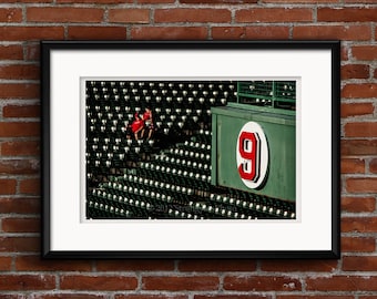 Photo Fenway Park, Ted Williams retired number, red seat, Boston Red Sox, StrongylosPhoto