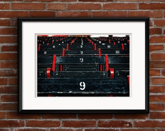 Fenway Park seats numbered 9, Ted Williams, Boston Red Sox, 8x12 and larger, sports, baseball, man cave wall art