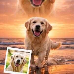 K&ouml;nnte beinhalten: Ein Golden Retriever-Hund rennt am Strand entlang, Wasser spritzt um seine Pfoten. Der Hund l&auml;chelt, die Zunge ist drau&szlig;en. Ein gr&ouml;&szlig;eres Bild des Gesichts des Hundes befindet sich im Hintergrund. Ein kleineres gerahmtes Foto des Hundes befindet sich unten links.