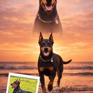 K&ouml;nnte beinhalten: Ein Dobermann Pinscher-Hund mit schwarzem und braunem Fell, der ein silbernes Halsband und ein rosa Etikett tr&auml;gt, rennt bei Sonnenuntergang durch das Wasser. Ein zweites, gr&ouml;&szlig;eres Bild des Hundes befindet sich im Hintergrund. Ein kleineres gerahmtes Bild des Hundes befindet sich unten links.