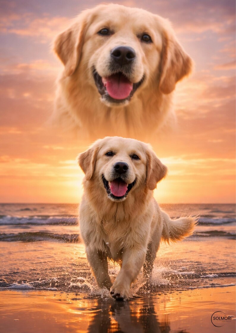 K&ouml;nnte beinhalten: Ein Golden Retriever-Hund, der bei Sonnenuntergang im Meer l&auml;uft, mit einem zweiten Bild des Gesichts des Hundes dar&uuml;ber. Der Hund ist hellbraun mit rosa Zunge, und der Himmel ist orange und gelb.