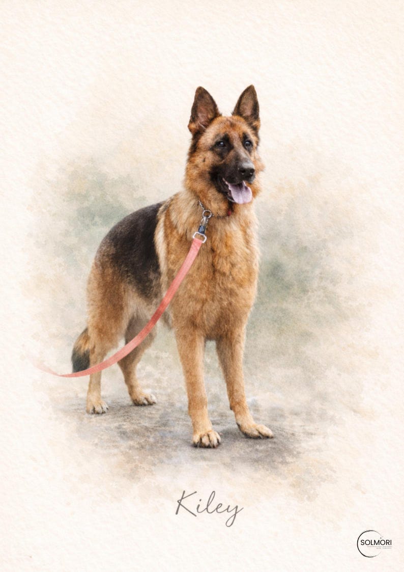 May include: Watercolor painting of a German Shepherd dog with a pink leash. The dog has a black saddle and tan fur. The dog's name, "Kiley", is written in cursive below the dog.
