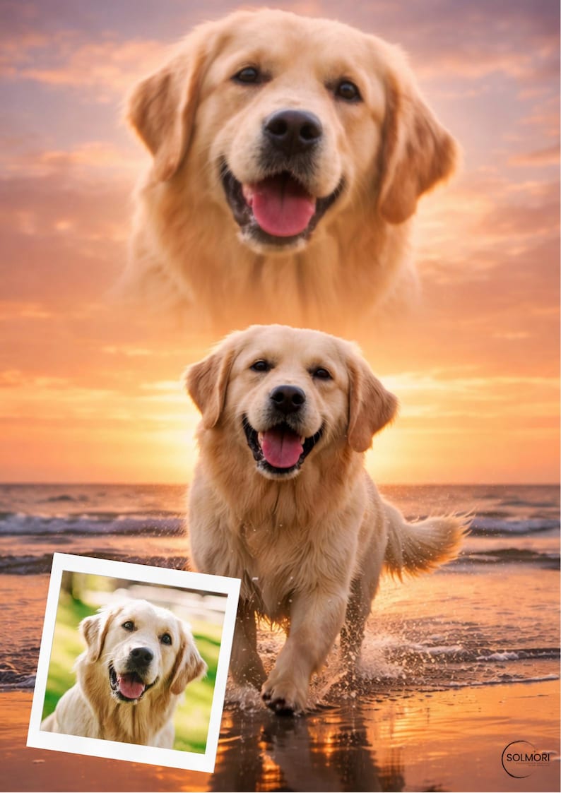 K&ouml;nnte beinhalten: Ein Golden Retriever-Hund rennt am Strand entlang, Wasser spritzt um seine Pfoten. Der Hund l&auml;chelt, die Zunge ist drau&szlig;en. Ein gr&ouml;&szlig;eres Bild des Gesichts des Hundes befindet sich im Hintergrund. Ein kleineres gerahmtes Foto des Hundes befindet sich unten links.