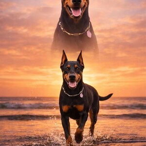 K&ouml;nnte beinhalten: Zwei Doberm&auml;nner, einer &uuml;ber dem anderen, vor einem Sonnenuntergang. Der untere Hund rennt durch Wasser, tr&auml;gt ein silbernes Halsband und einen rosa Anh&auml;nger. Der Himmel ist eine Mischung aus Orange und Rosa.