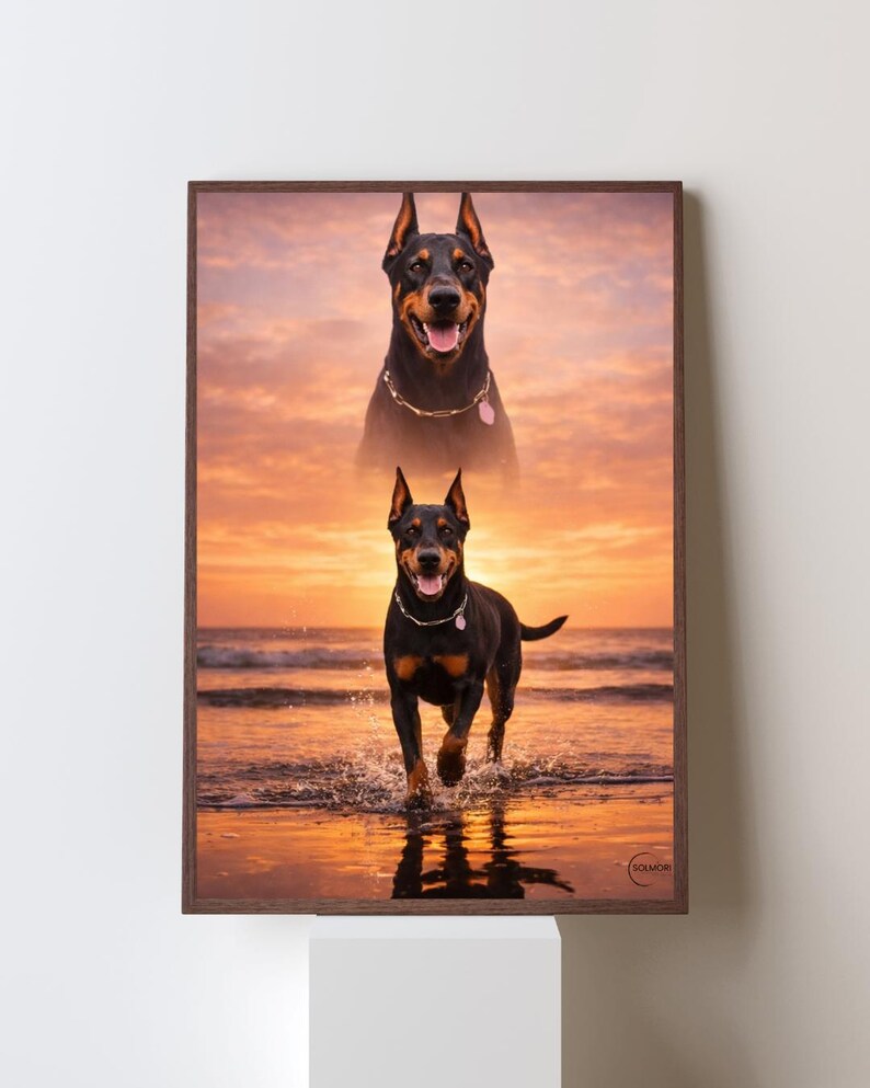 K&ouml;nnte beinhalten: Gerahmter Druck mit zwei Bildern eines Dobermanns vor einem Sonnenuntergang. Das obere Bild zeigt den Kopf und die Schultern des Hundes, w&auml;hrend das untere Bild den Hund im Wasser zeigt. Der Hund tr&auml;gt ein Halsband.